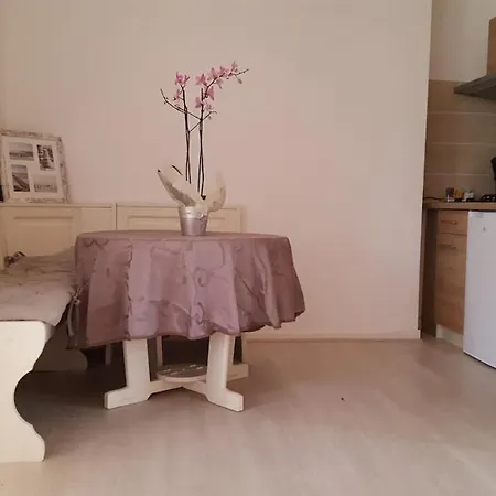 28 M2 Hypercenter Garden View Elevator Appartement Nice